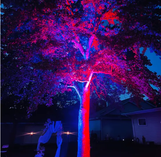 Beacon Lighting Design 