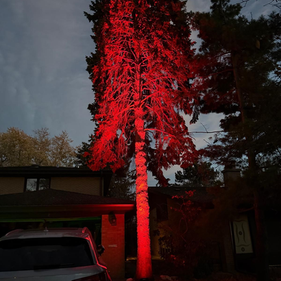 Beacon Lighting Design 