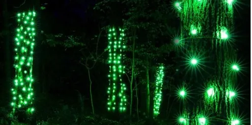 Beacon Lighting Design 